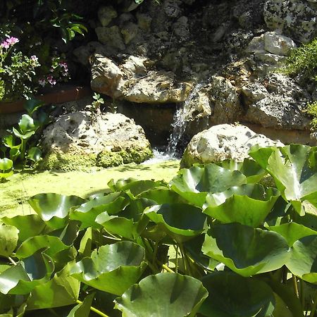 La Cascata Bed & Breakfast Noci Luaran gambar