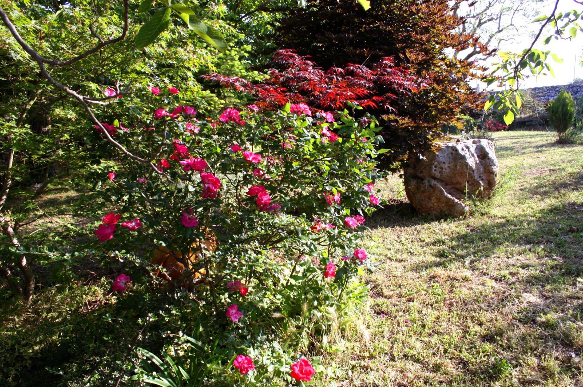 La Cascata Bed & Breakfast Noci Luaran gambar