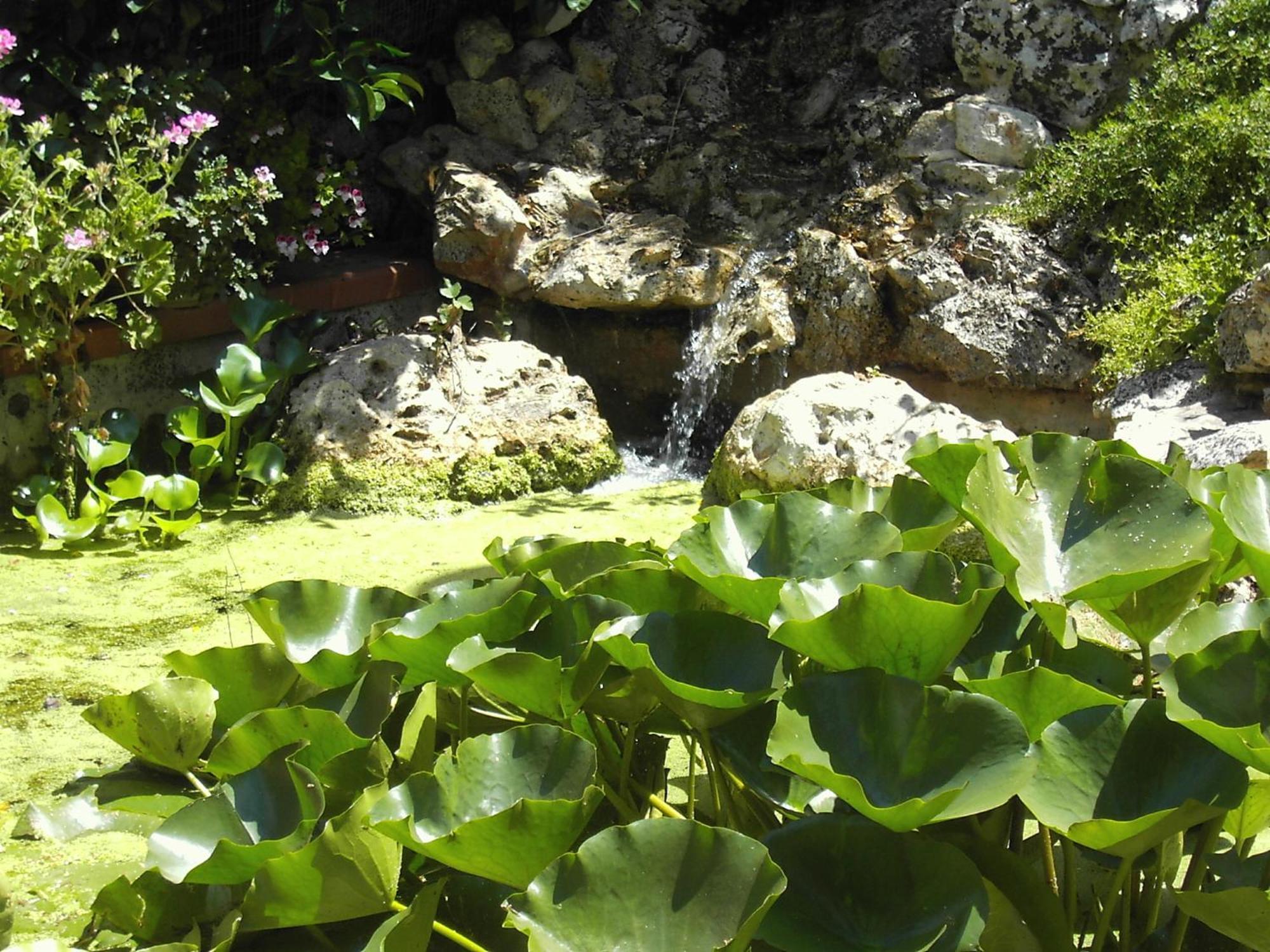 La Cascata Bed & Breakfast Noci Luaran gambar